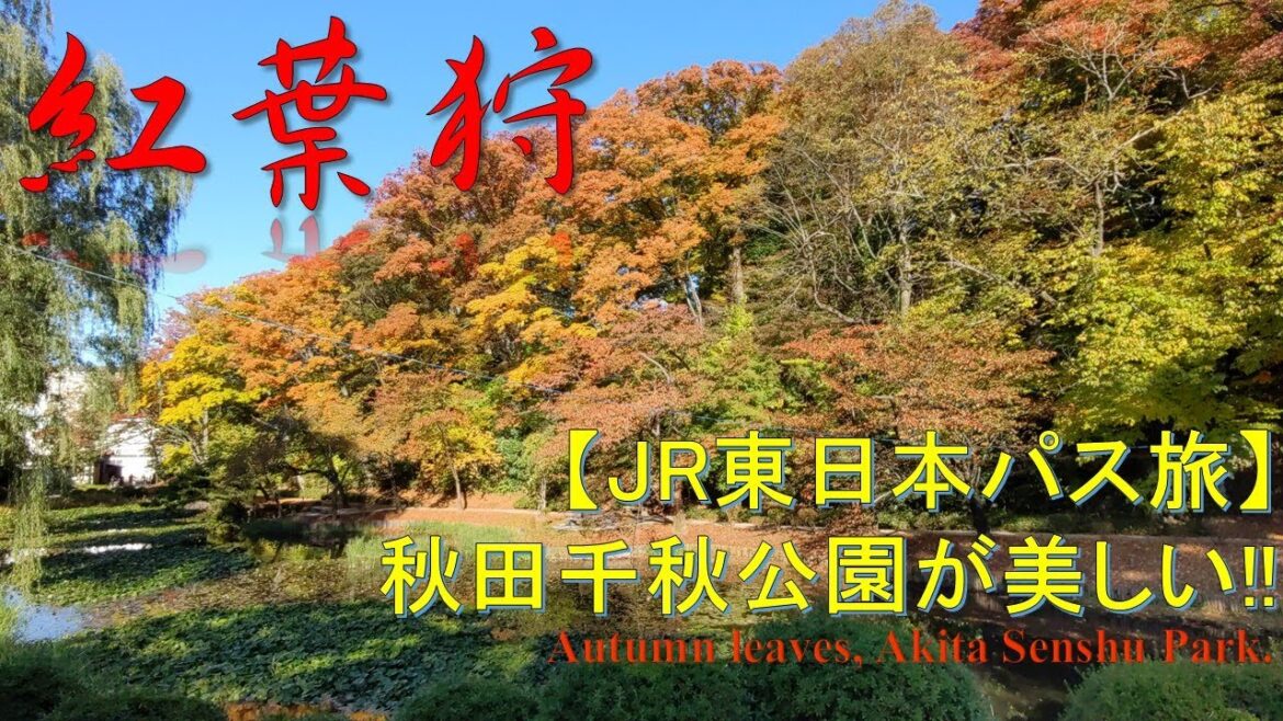 【JR東日本パス旅】紅葉狩りを秋田千秋公園で JR East pass trip, enjoying autumn leaves at Senshu park, Akita city