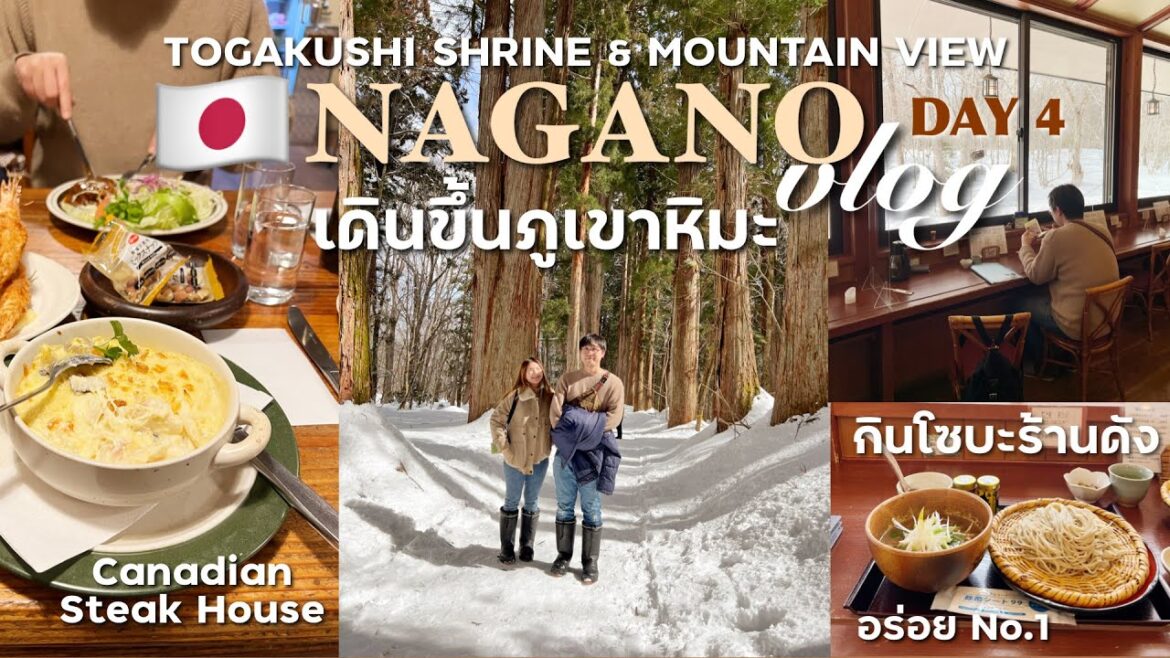 NAGANO Day 4 🏔️เดินขึ้นภูเขาหิมะ Togakushi วิวต้นสนสวยมาก 🍜พากินร้านโซบะร้านดัง | BEBE DOANG