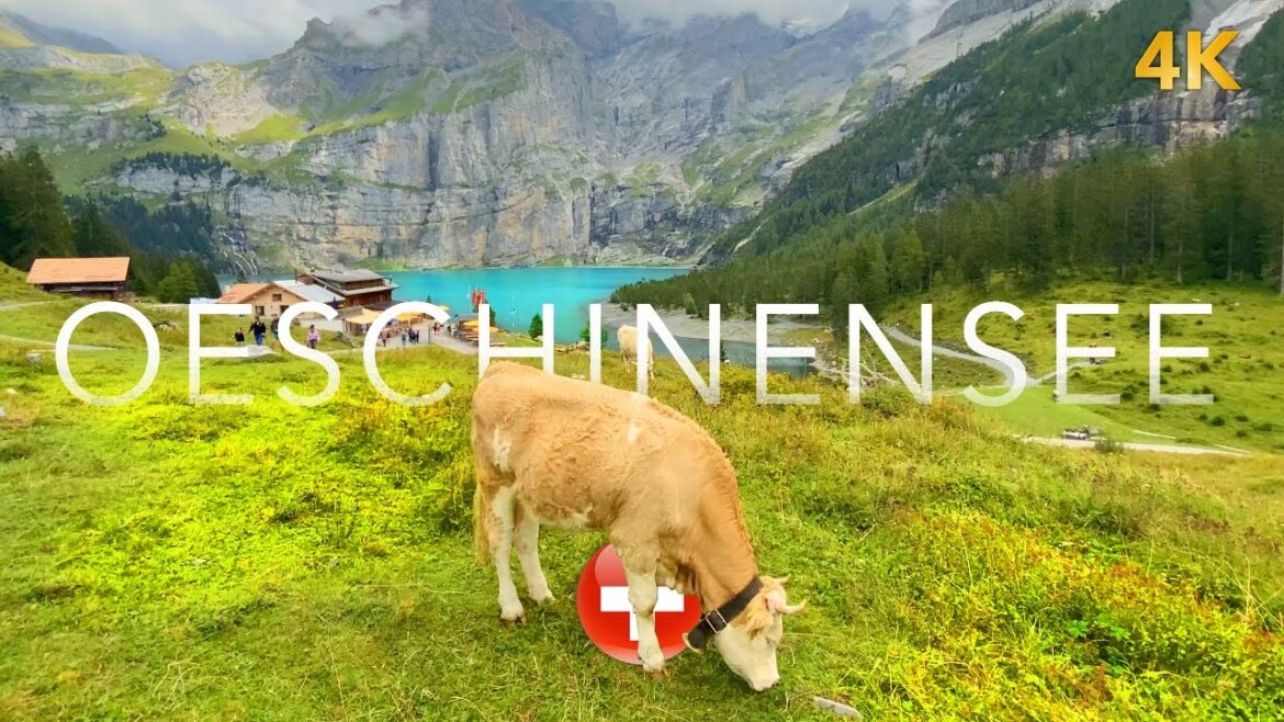EPIC PLACE IN SWITZERLAND π¨π Mountain Lake Walking Tour + Nice Lake Walks! EPIC PLACE IN SWITZERLAND π¨π Mountain Lake Walking Tour + Nice Lake Walks!