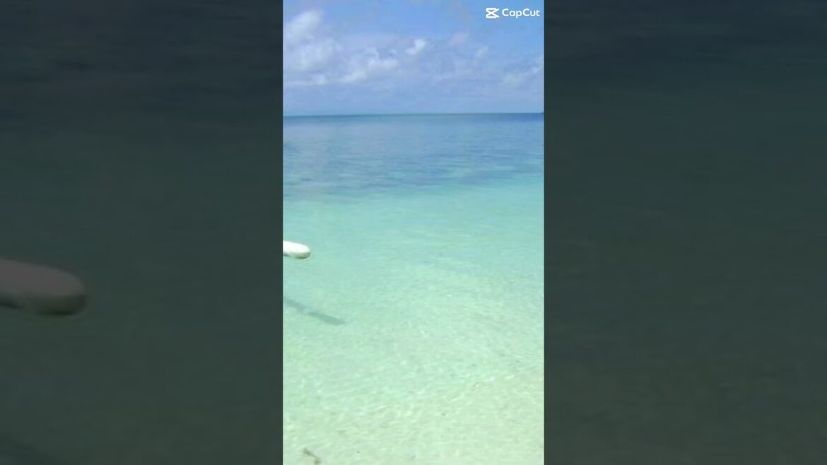 Nature is my happy place βοΈπ΄πΊπΈ #shorts Nature is my happy place βοΈπ΄πΊπΈ #shorts