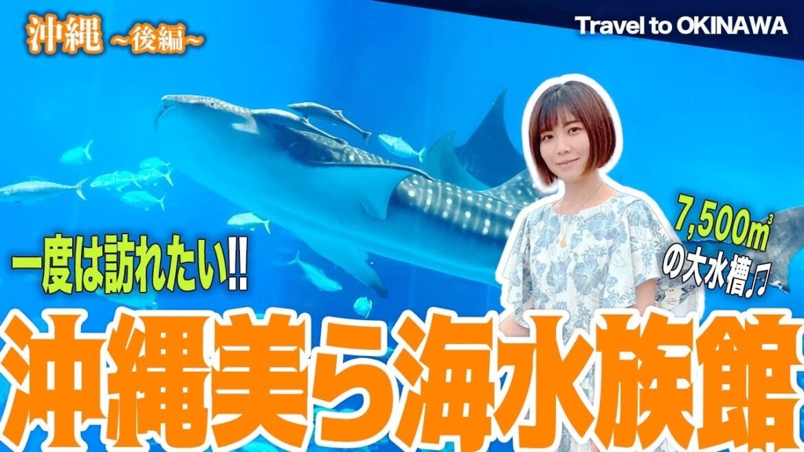 【沖縄旅】Okinawa trip / 美ら海水族館へ(旅行) #vlog