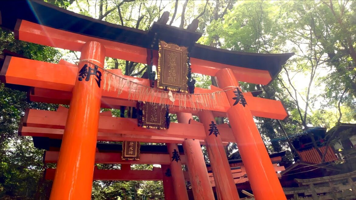 【京都観光】伏見稲荷大社 千本鳥居 Fushimi Inari Taisha Shrine, a tourist destination in Kyoto, Japa Thousand torii 【京都観光】伏見稲荷大社 千本鳥居 Fushimi Inari Taisha Shrine, a tourist destination in Kyoto, Japa Thousand torii