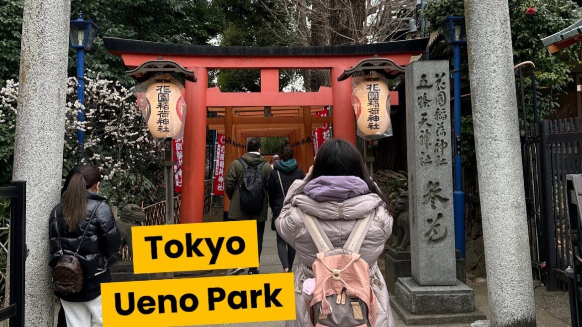 Tokyo Japan | Ueno Park | 2023 Feb