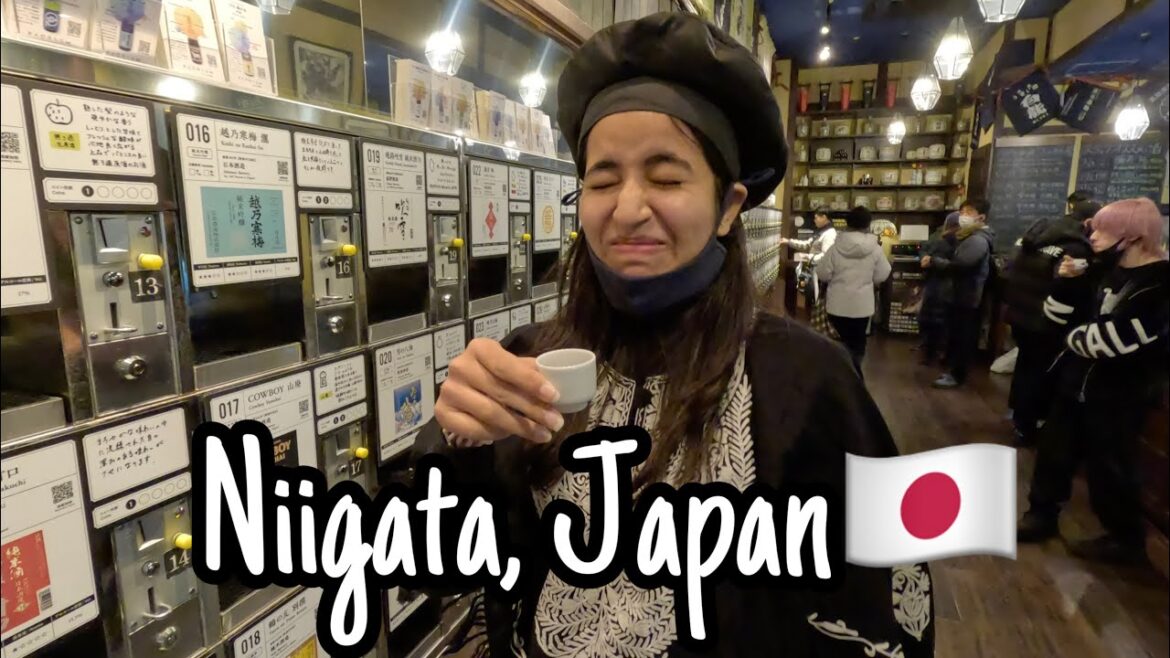 Niigata | Japan | Sake Vending machine | Niigata City aquarium | Sekiya beach | Indian in Japan