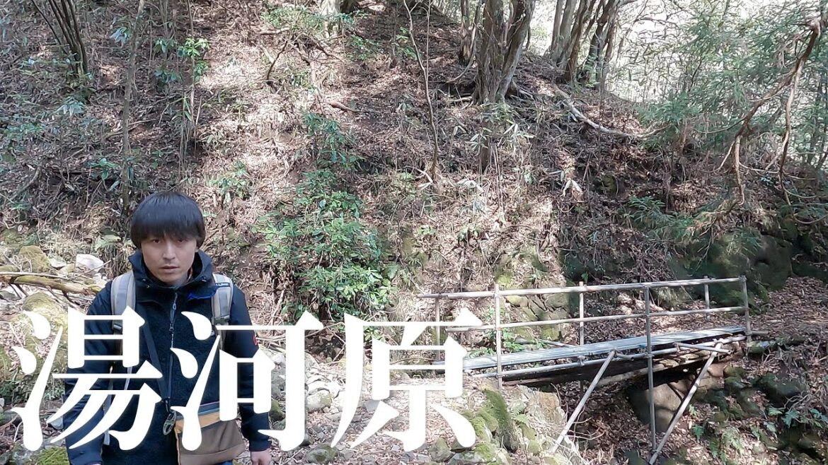 【ハイキング】湯河原の山中に美しい滝があるらしい…