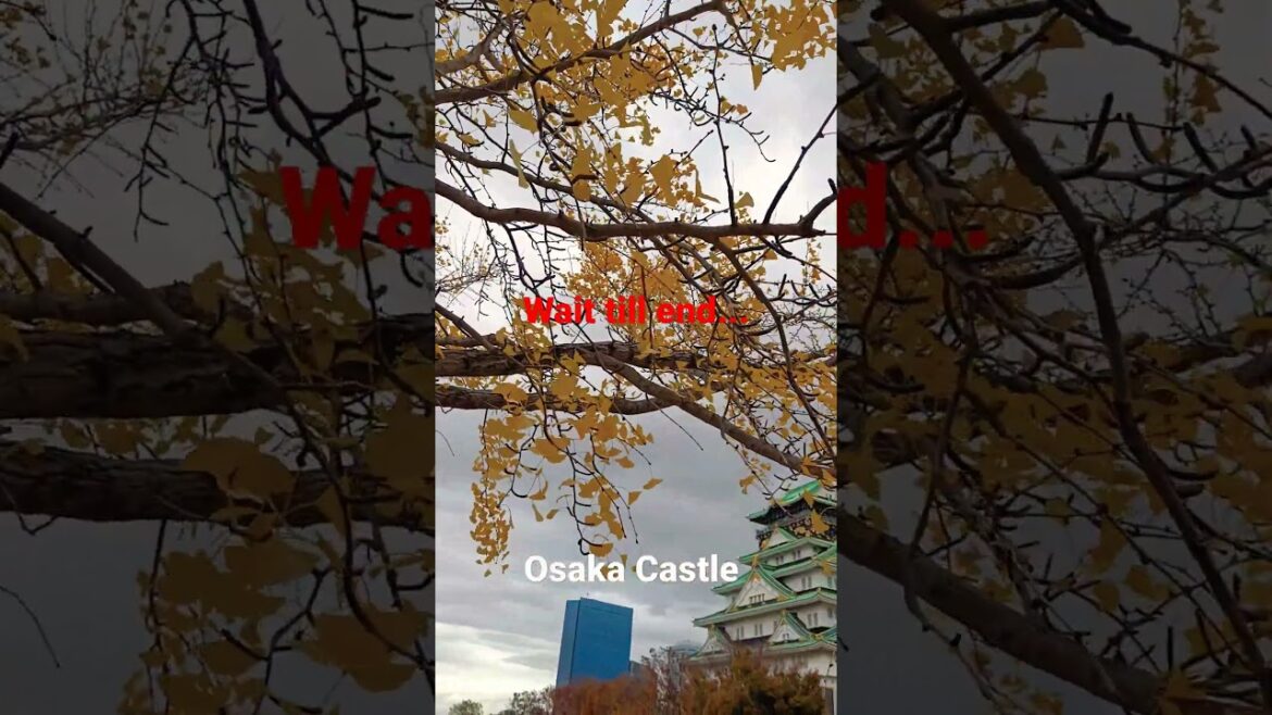 Historical Osaka castle of Japan history #shorts #shortsfeed #viral #short