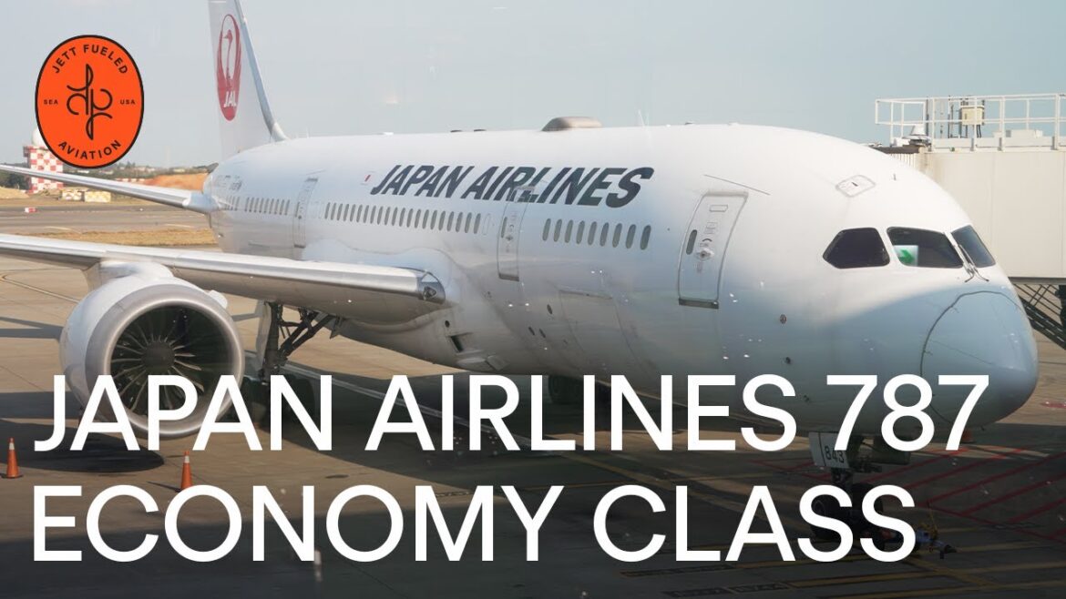 Flying a 5 star airline! Japan Airlines 787 - Taipei (TPE) to Tokyo (NRT) | TRIP REPORT