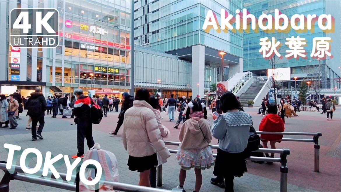 【4K】Akihabara at dusk on Sunday(Binaural Tokyo Sounds) 【4K】Akihabara at dusk on Sunday(Binaural Tokyo Sounds)