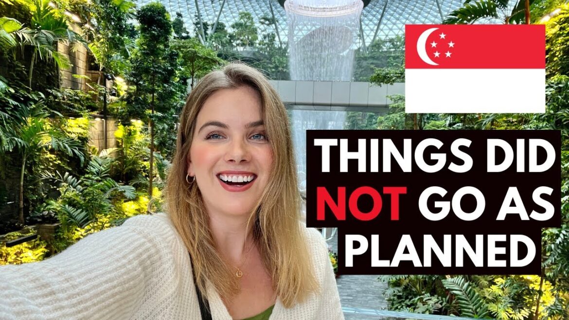 CHANGI AIRPORT IS AMAZING.... except for one very important thing.