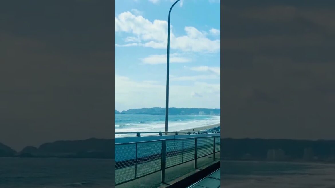 千葉 鴨川 東条海岸。マルキ。Kamogawa City, Chiba Prefecture, Japan. #鴨川 #beach #live #japan #surfing