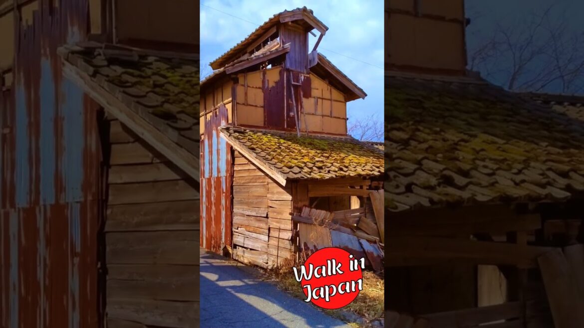Crumbling Shack #japan #shorts