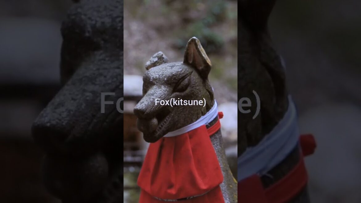 Fushimi inari Taisha.The ultimate torii gates. #fushimiinarishrine#kyoto#japan#traveljapan