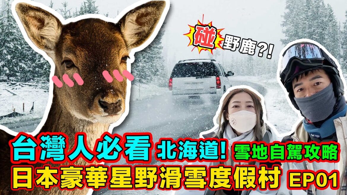 【 北海道 超人氣星野度假村-滑雪之旅❄️ EP01 :日本 下雪開車注意事項】台灣人必看日本自駕租車交通規則|到日本小心變三寶!右駕超緊張 | SnowLand雪域工制 −赭域工制 【 北海道 超人氣星野度假村-滑雪之旅❄️ EP01 :日本 下雪開車注意事項】台灣人必看日本自駕租車交通規則|到日本小心變三寶!右駕超緊張 | SnowLand雪域工制 −赭域工制