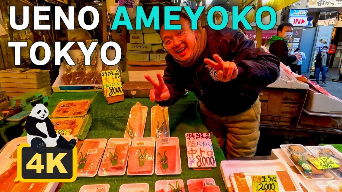 【4K】Ueno Ameyoko - Tokyo, Japan // Virtual Walking Tour2023(アメ横散歩)
