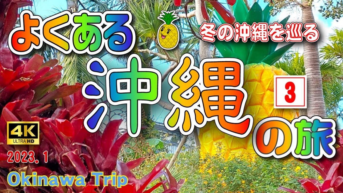 sub) 4K【沖縄旅行】冬の沖縄４泊５日の旅。2日目後編🚗　③【沖縄観光】　Vol.30
