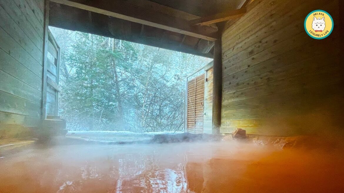 A Good Deal👍！$23 for one night hot springs Hotel⛄｜Japan Yokoya Onsen😀｜Winter Travel