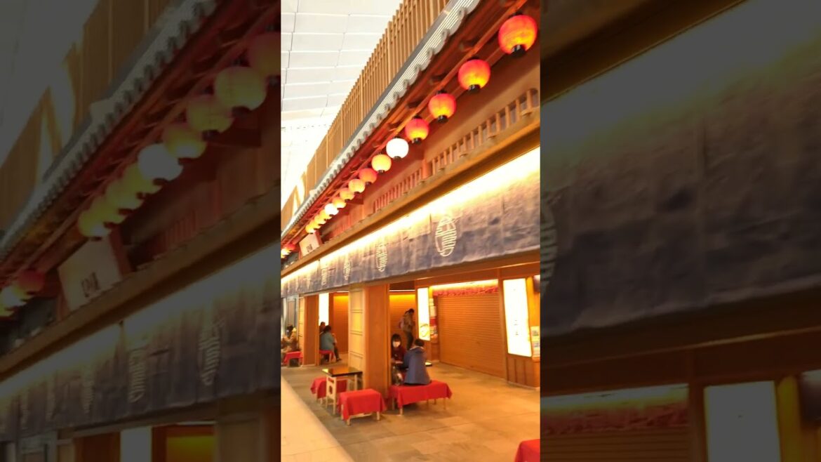 Departure Lobby & Food Court – The most beautiful Haneda Airport in the world #shorts Part 10 Departure Lobby & Food Court - The most beautiful Haneda Airport in the world #shorts Part 10