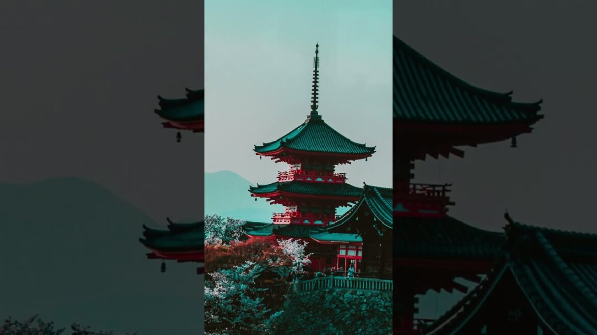 Kyoto, Japan #shorts #Travel #Kyoto #Japan