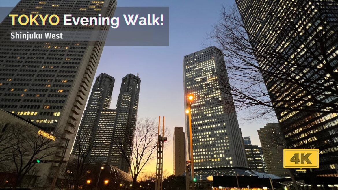 【4K/60fps】Tokyo walk tour around Shinjuku West, Jan 2022! 【4K/60fps】Tokyo walk tour around Shinjuku West, Jan 2022!