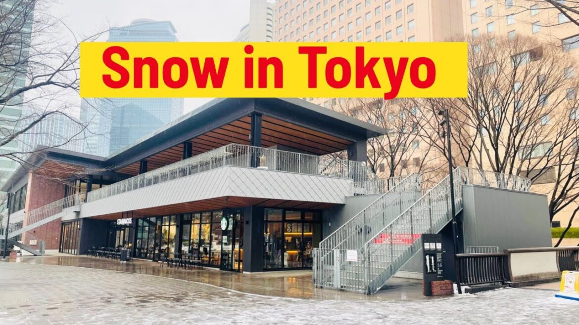 First 2023 Snowfall at Shinjuku, Tokyo | Life in Japan