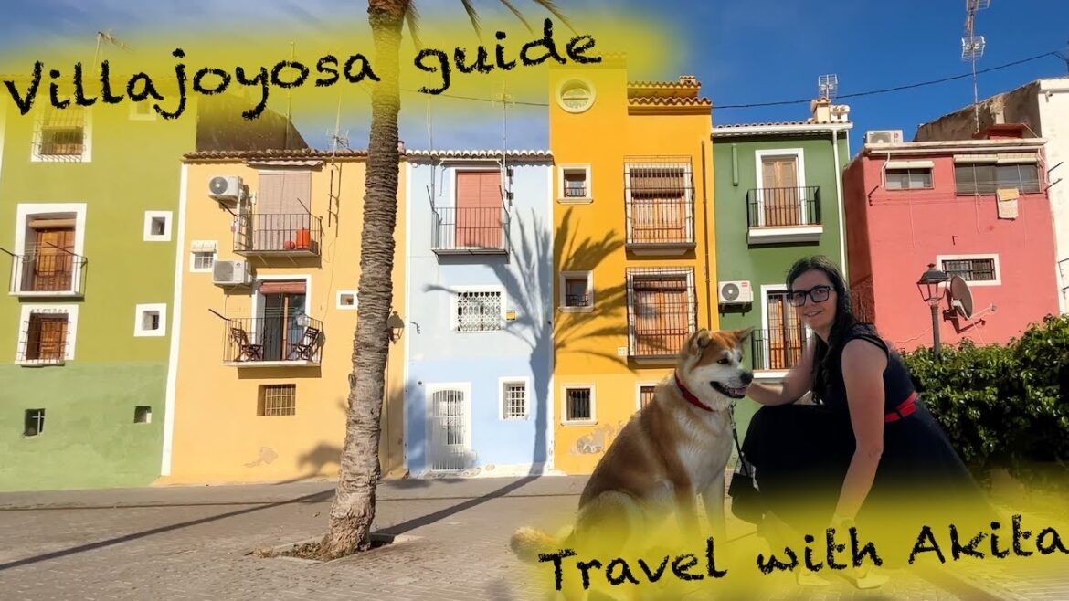 Villajoyosa Costa Blanca – one day trip from alicante with dog Akita Villajoyosa Costa Blanca - one day trip from alicante with dog Akita