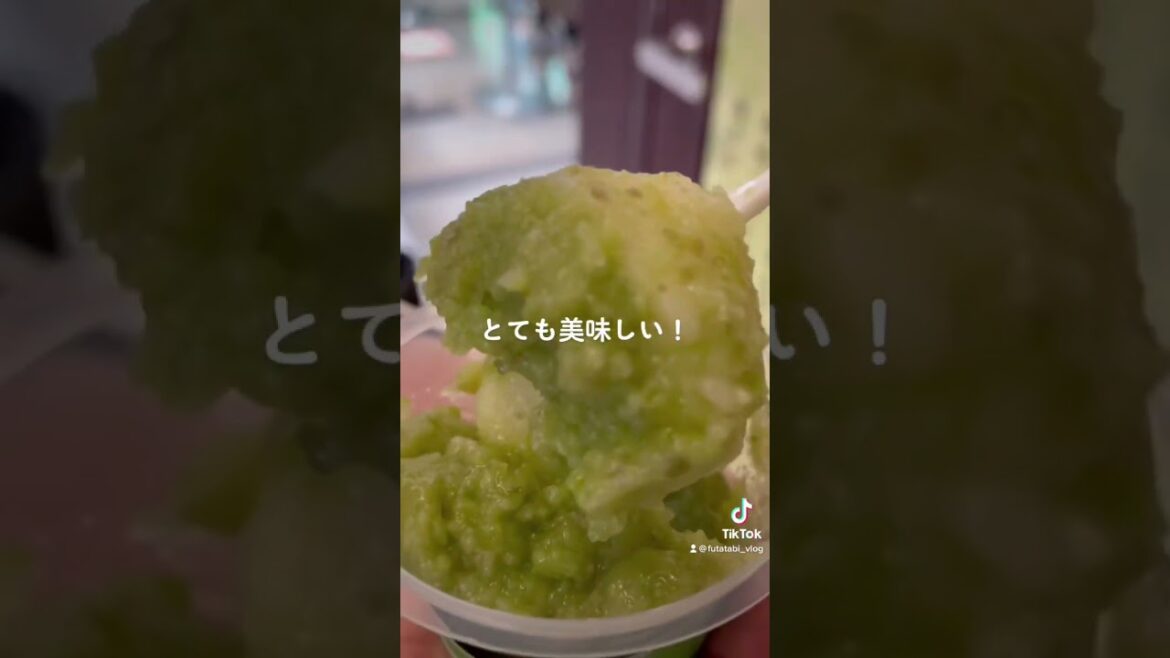 グルメ尽くし！食べてばかりの仙台旅行(前半)Vlog