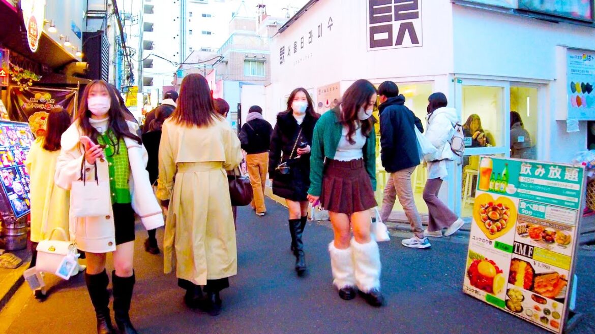 Shin-Okubo in Tokyo🐶🍻From Shinjuku Station to Korea Town♪💖4K ASMR non-stop 1 hour 02 minutes Shin-Okubo in Tokyo🐶🍻From Shinjuku Station to Korea Town♪💖4K ASMR non-stop 1 hour 02 minutes