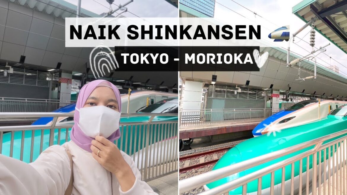 NAIK SHINKANSEN DI JEPANG, DARI TOKYO KE MORIOKA CUMA 2 JAM - millayarou vlog
