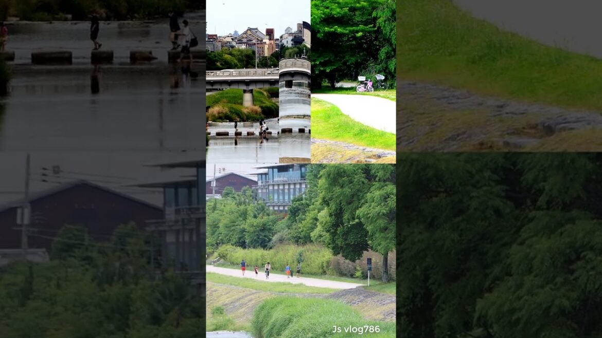 Travel Japan Kyoto Kamo River  #shorts #youtubeshorts #shortvideo
