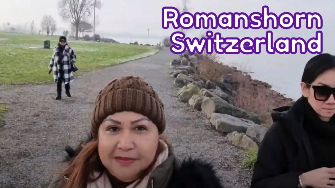 Walking Tour In Romanshorn Switzerland || One Gloomy And Cold Day With Friends ||