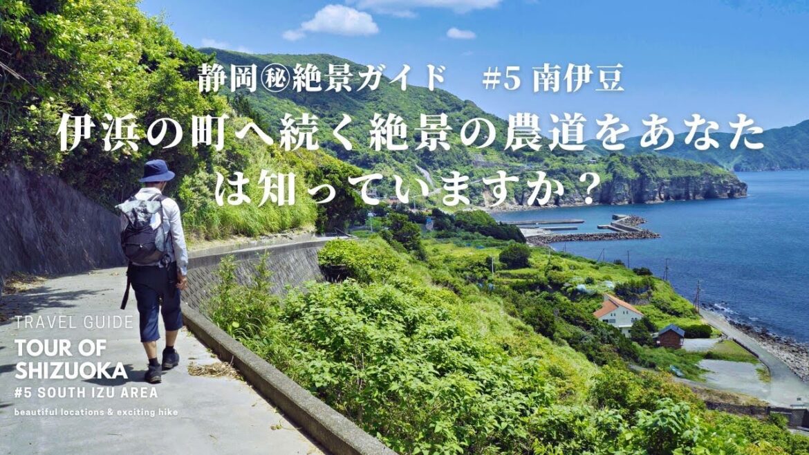 あなたの知らない静岡の絶景 No.5 南伊豆にある伊浜と波勝崎を繋ぐ絶景の農道を知っていますか? 堂ヶ島 駿河湾フェリー 河津桜 南伊豆ジオパーク モンキーベイ あなたの知らない静岡の絶景 No.5 南伊豆にある伊浜と波勝崎を繋ぐ絶景の農道を知っていますか? 堂ヶ島 駿河湾フェリー 河津桜 南伊豆ジオパーク モンキーベイ