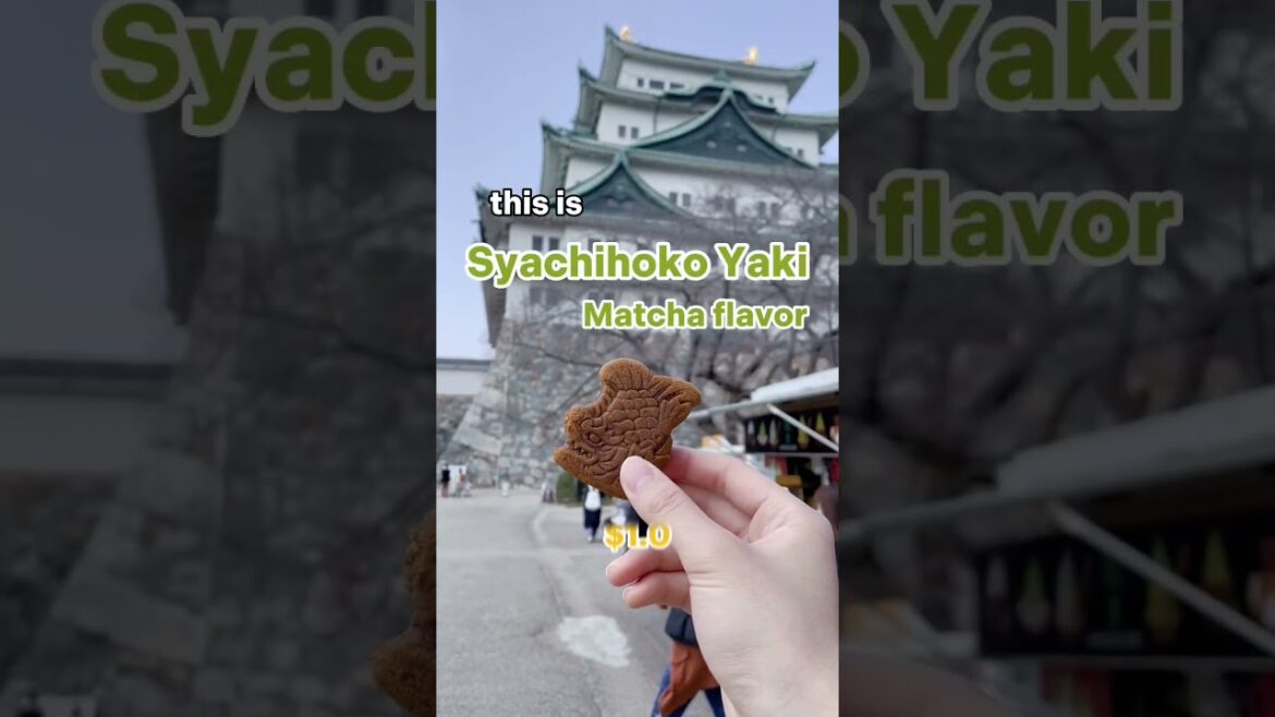 Awesome Spot in Japan #shorts