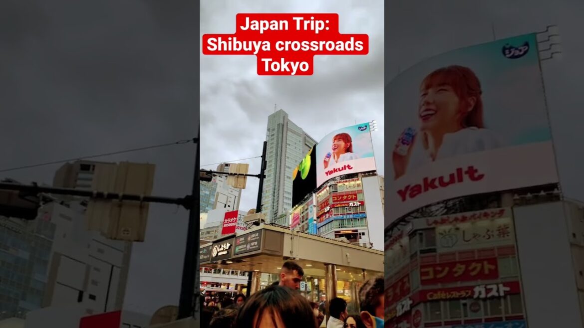 Japan Trip Shibuya Crossing, Shibuya, Tokyo