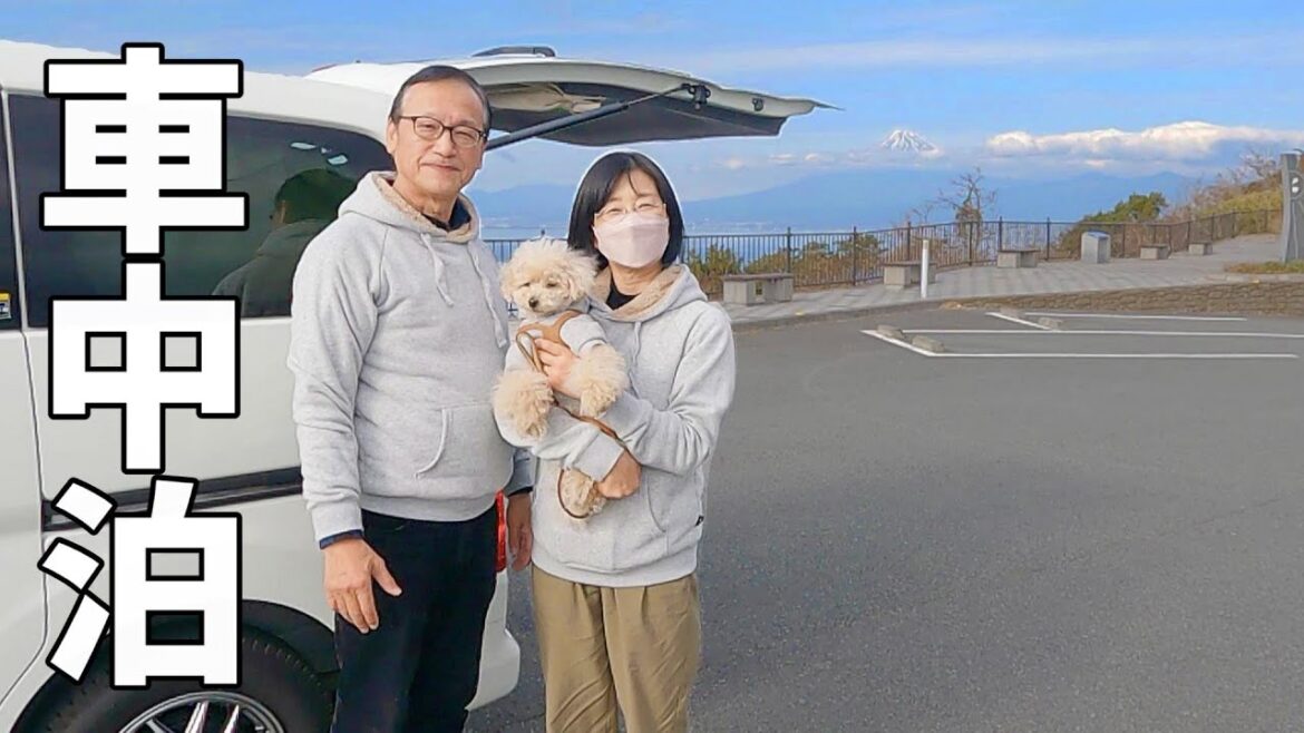 伊豆半島一周#2 車中泊を楽しむ夫婦+wanのリアルな3泊4日旅！伊豆の絶品に出会う‼