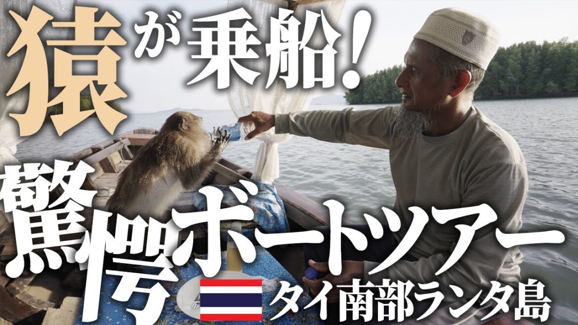 ランタ島｜猿が船に飛び乗ってきた驚愕のボートツアー