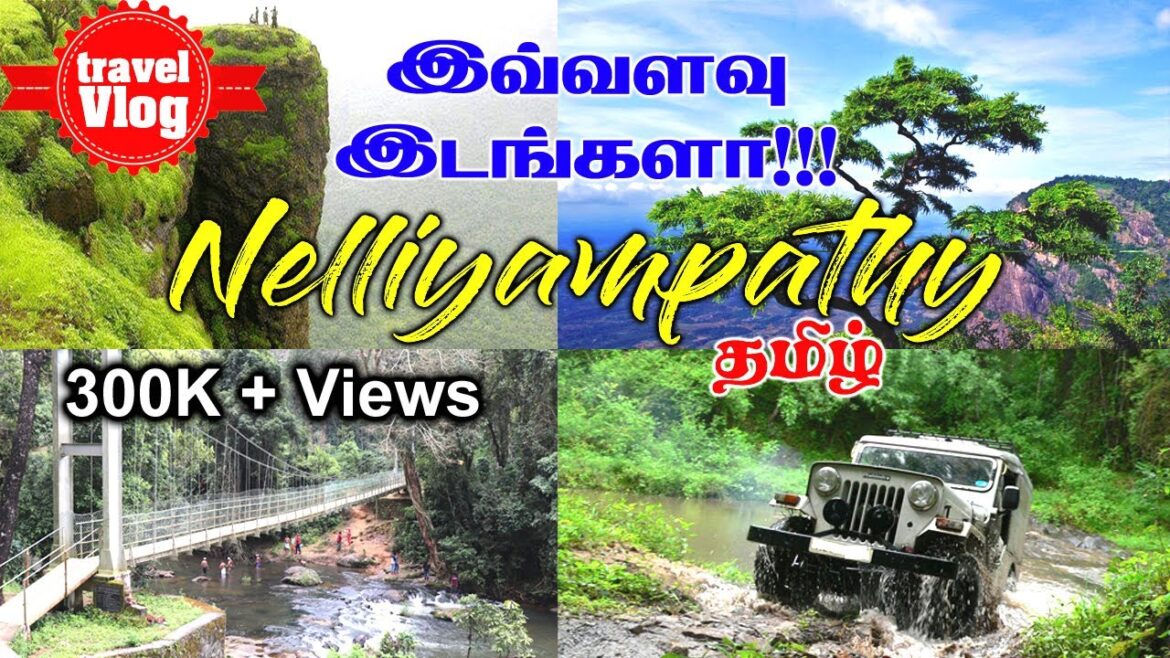 Nelliyampathy | Nelliyampathy Tourist Places | Tamil Travel Vlog | Palakkad Tourism | Tamil Trip