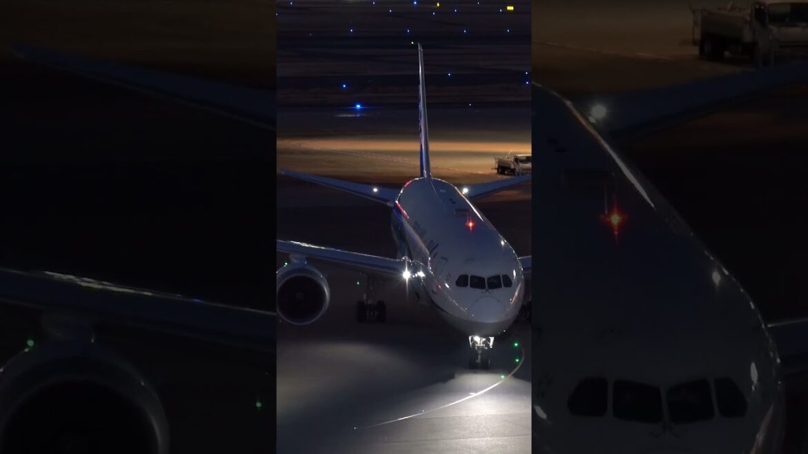 Plane spotting2023 Japan Haneda airport #羽田 #空港