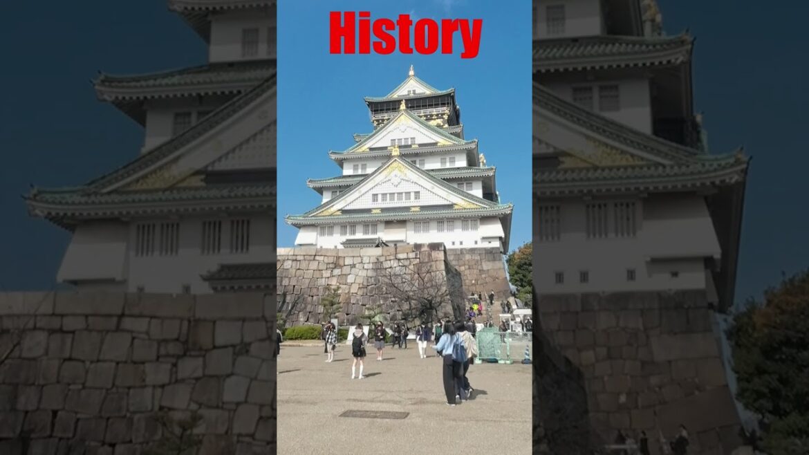 The most #exciting  city #OSAKA  #shorts (最もエキサイティングな都市　#大阪)