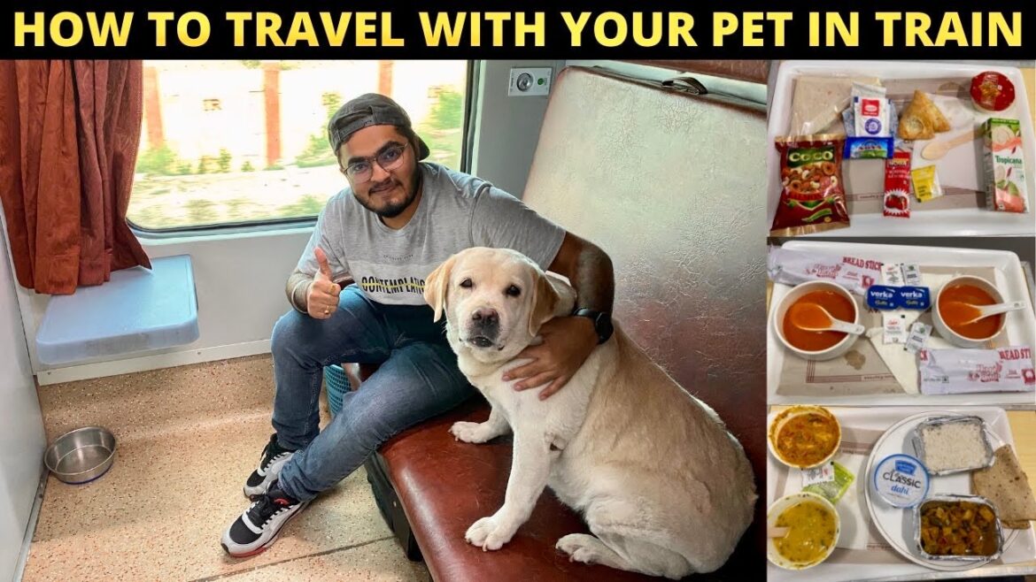 Travelling with my DOG 🐶 in First AC 🚂| Secunderabad Duronto Express Journey Travelling with my DOG 🐶 in First AC 🚂| Secunderabad Duronto Express Journey