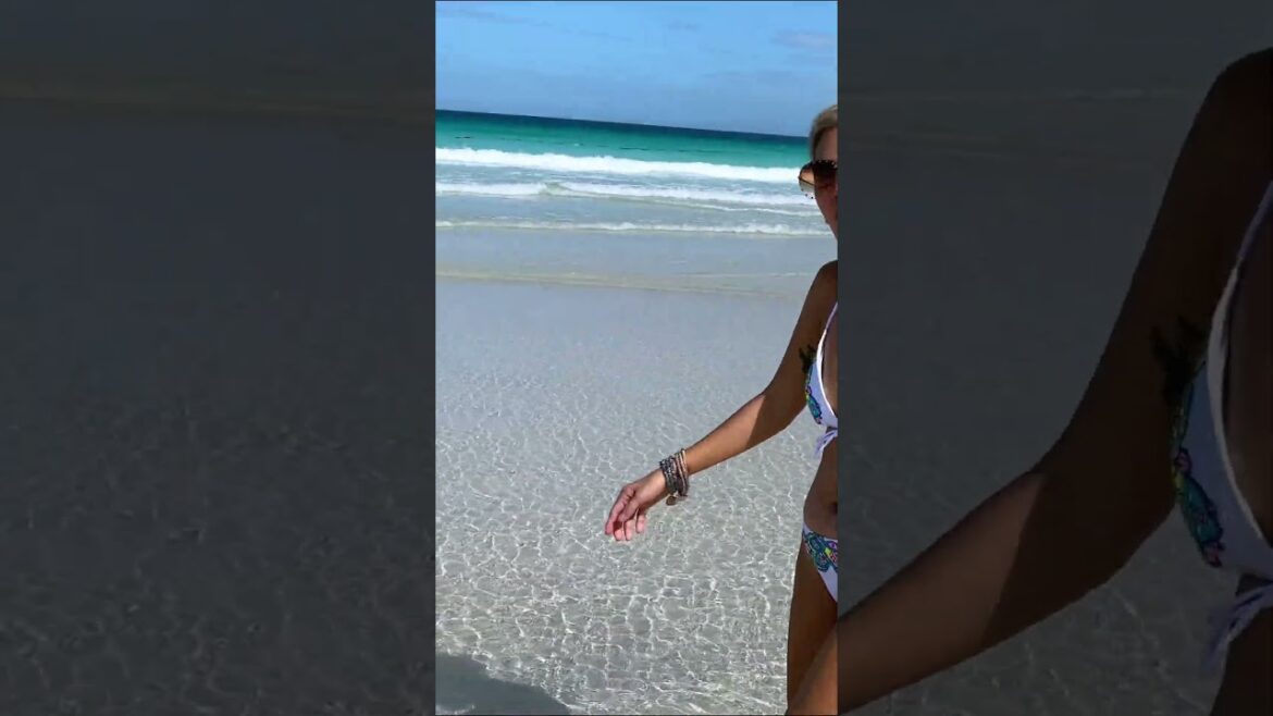 Paradise found: Exploring Malamawi's pristine white sand beach 😍