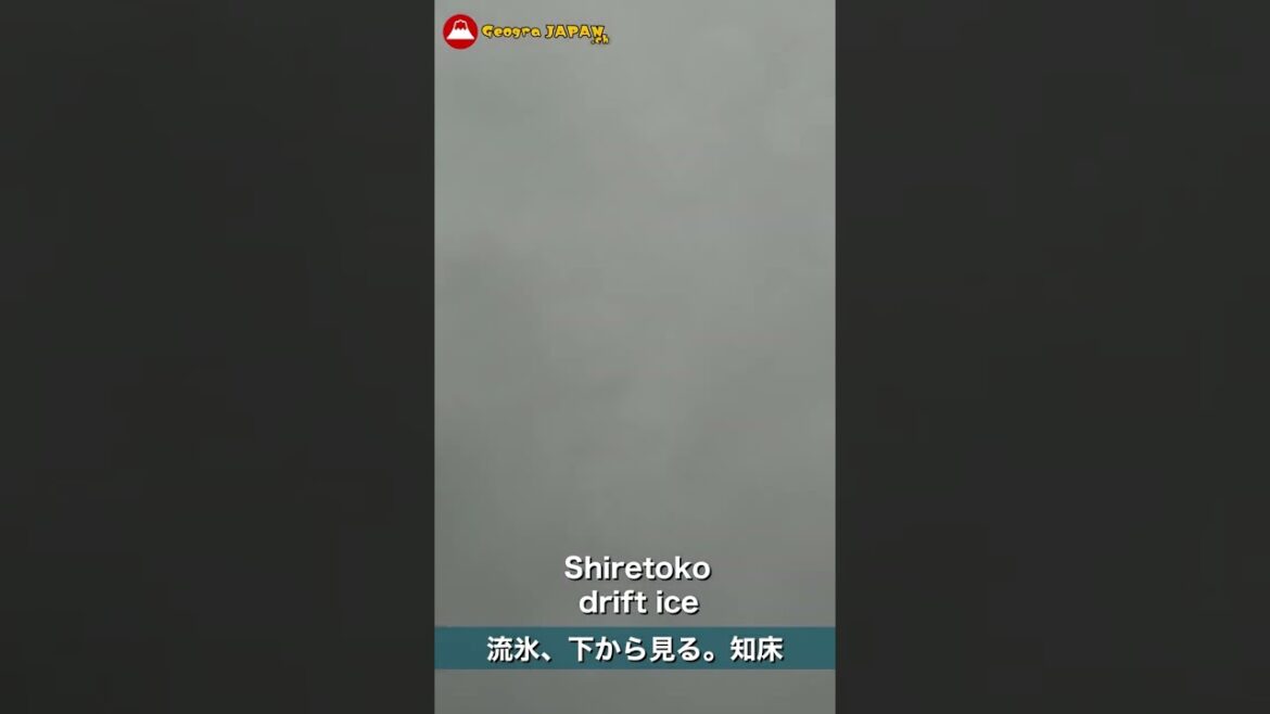 View from under the drift ice. World Heritage Shiretoko Hokkaido/世界遺産 知床の流氷、潜ってみた