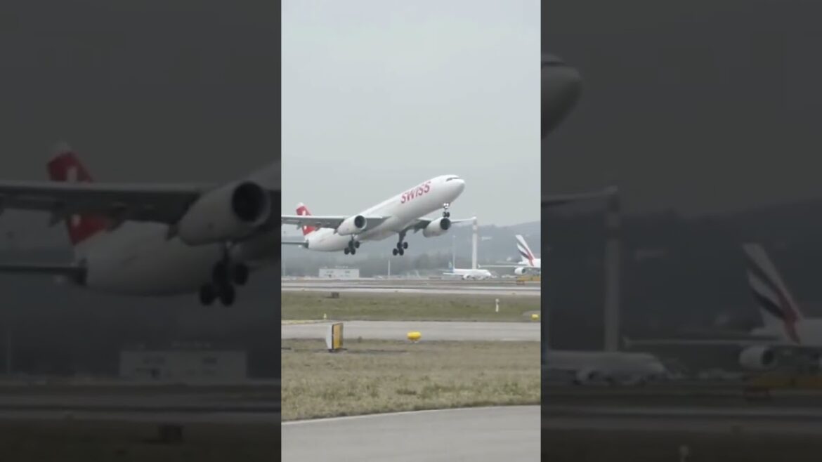 Japan to South Korea: A Complete Guide To Travel From Japan to South Korea #shorts  #travel