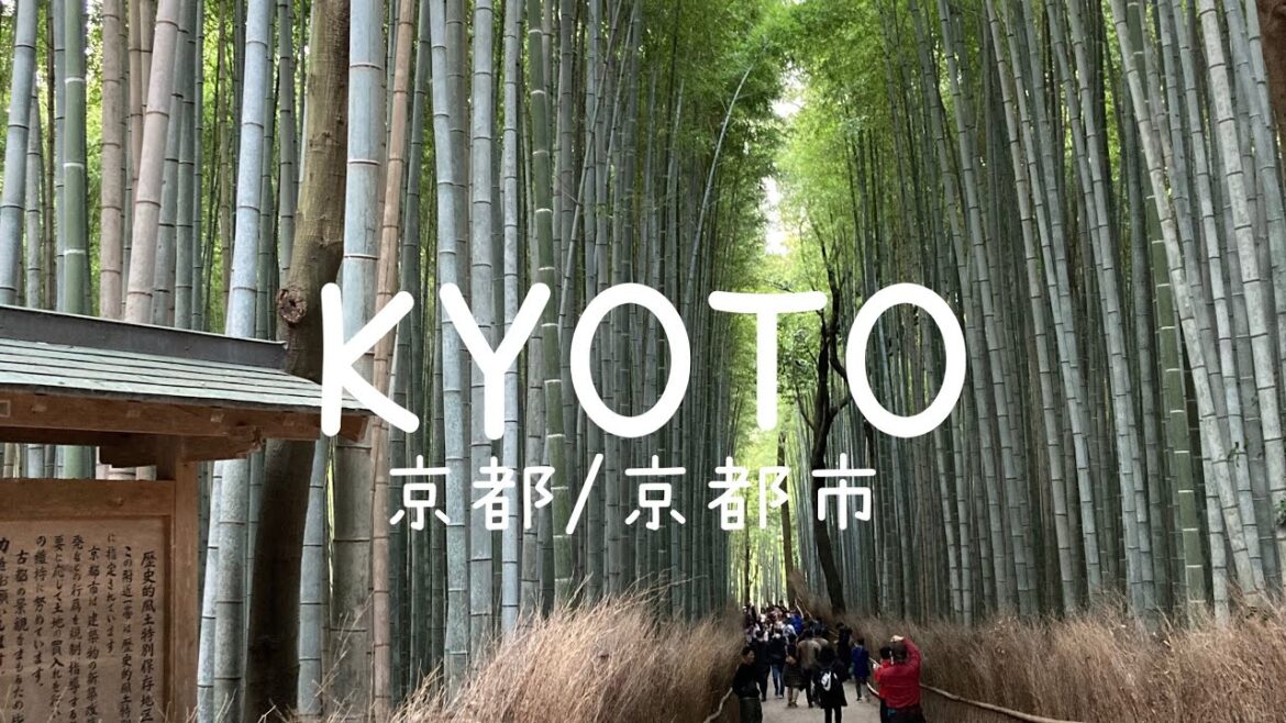 【旅vlog】嵐山観光/京都府/京都市/KYOTO/JAPAN