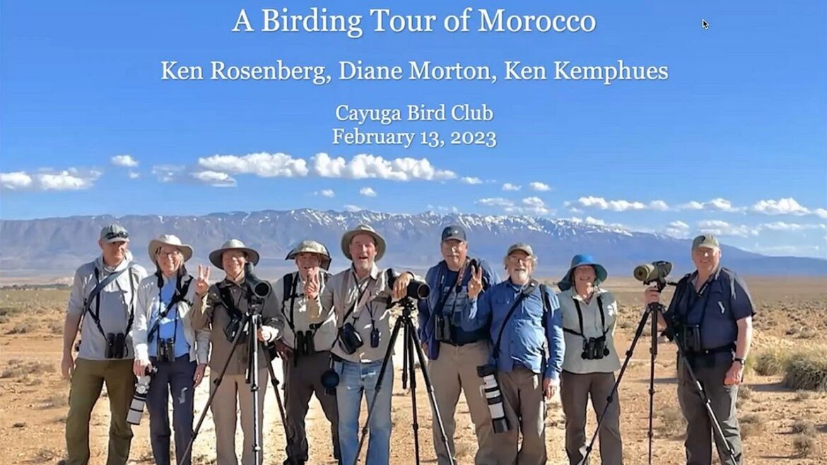 A Birding Tour of Morocco – Cayuga Bird Club 2023-02 A Birding Tour of Morocco - Cayuga Bird Club 2023-02