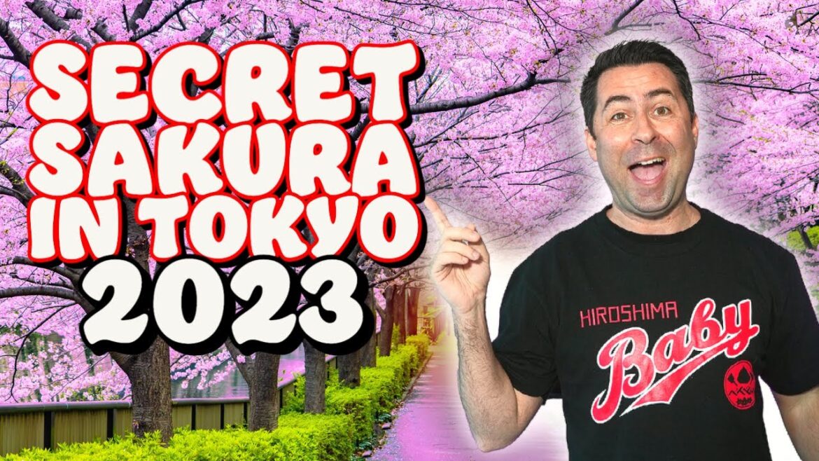 Tokyo Sakura Viewing Guide & A SECRET Cherry blossom Garden : Sakura event in Tokyo 2023 Tokyo Sakura Viewing Guide & A SECRET Cherry blossom Garden : Sakura event in Tokyo 2023