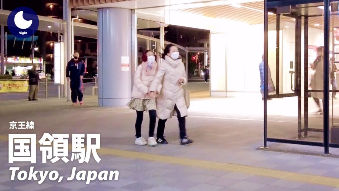 ⁴ᴷ Tokyo: Kokuryo Station (国領駅) / Keio Line : Japan Walking Tour (February, 2023)