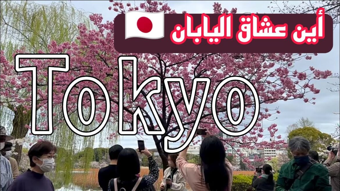| طوكيو اليوم | | أجمل شيء في طوكيو |  باليابان Tokyo today The most beautiful thing in Tokyo, Japan