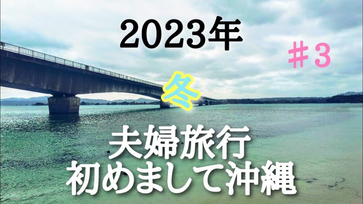 #3 沖縄旅行 #パイナップルパーク #古宇利島 #古宇利大橋 #夫婦旅行
