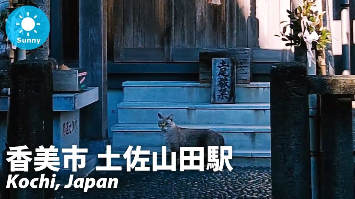 ⁴ᴷ Kochi: Kami (香美市) - Japan Walking Tour (December 14, 2021)