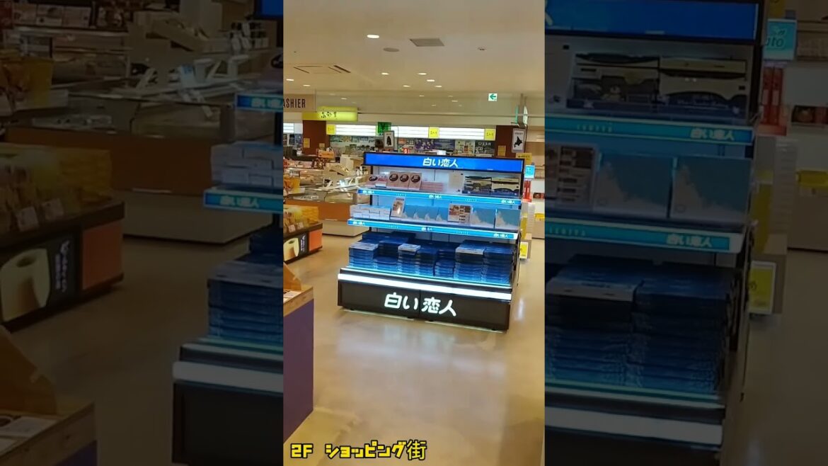 【空港案内】函館空港フロアガイド Vol,1 #shorts